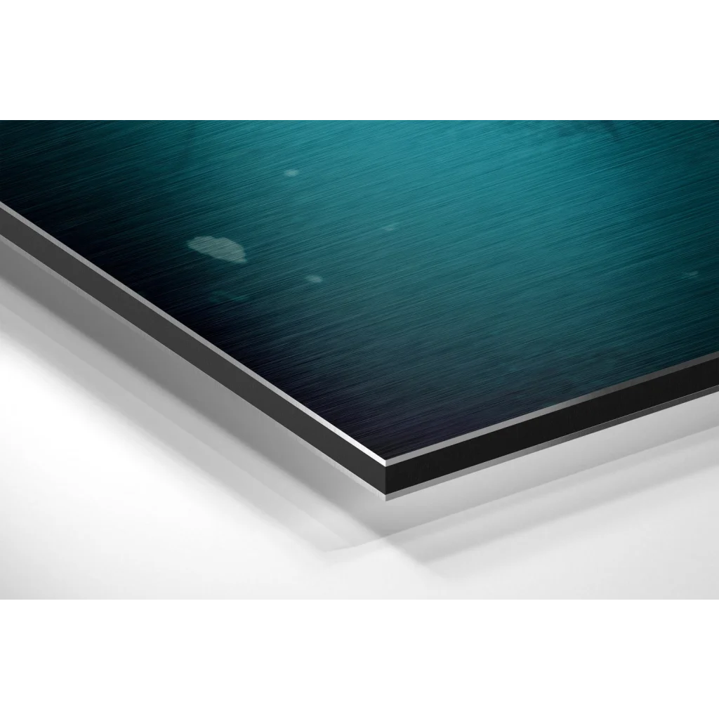 Glass Wall Art Teal brushed aluminium dibond giraffe wall art in sleek black frame