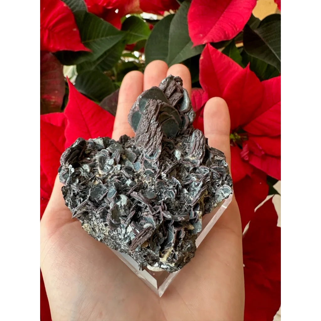 Hematite iron rose specimen with dark textured layers and glossy sheen