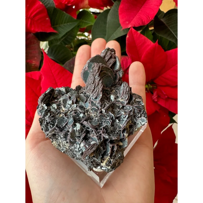 Hematite iron rose specimen with dark textured layers and glossy sheen