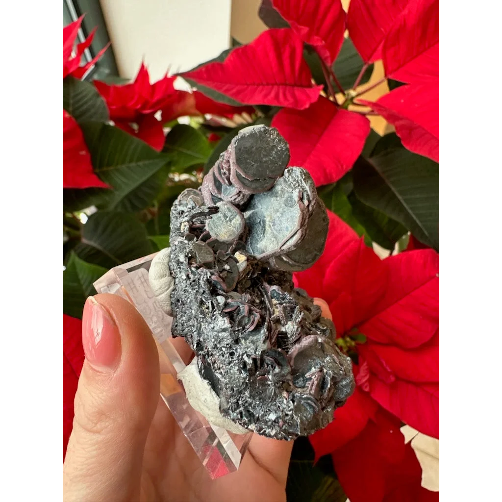 Dark gray hematite iron rose specimen on clear acrylic stand