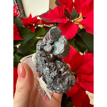 Dark gray hematite iron rose specimen on clear acrylic stand