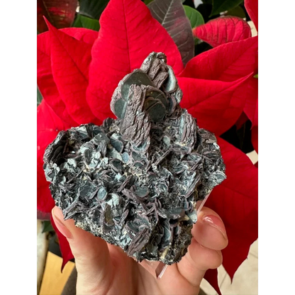 Hematite iron rose specimen with glossy layered leaves and display stand