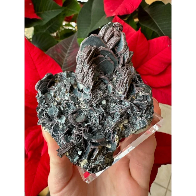 Hematite iron rose specimen with dark layered formations and glossy sheen