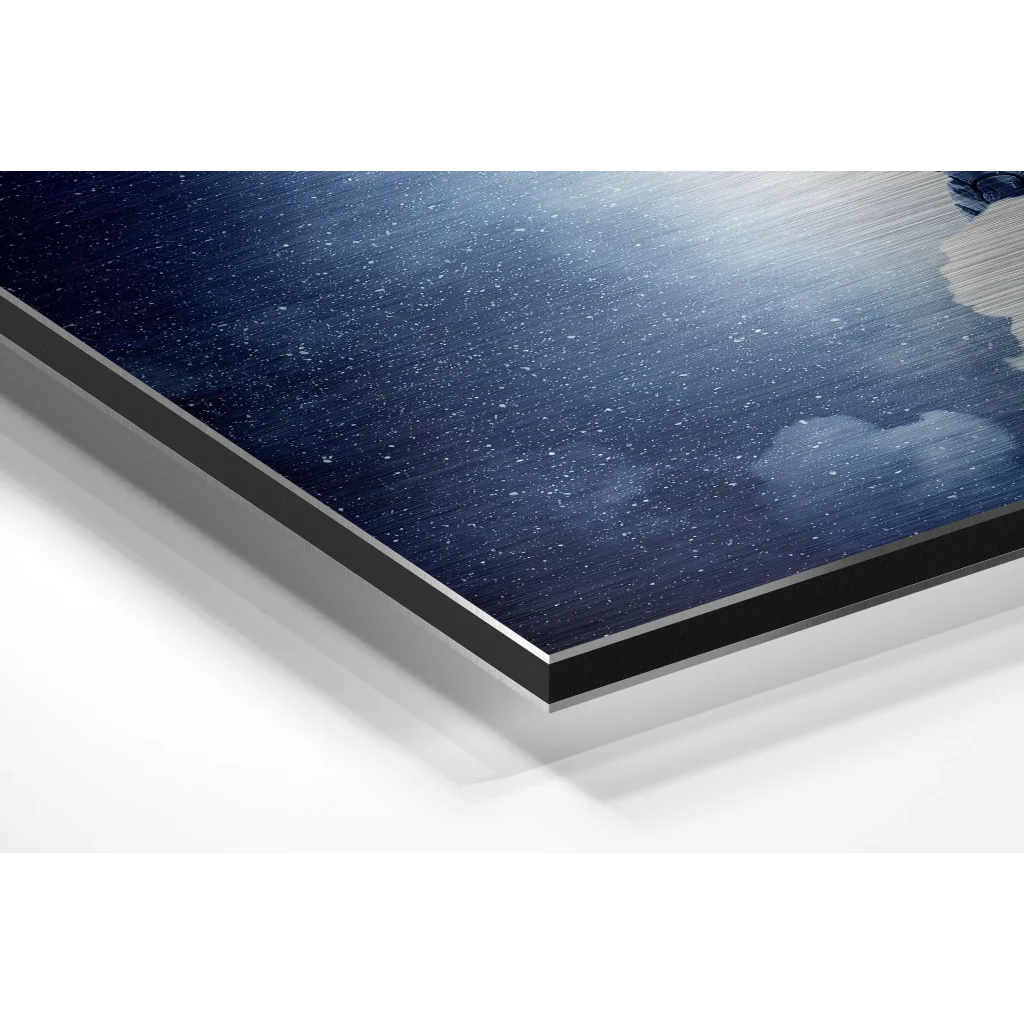Stunning Brushed Aluminium Dibond Wall Art That Pops | Glass Wall Art Print | vintageantiquesgifts.com