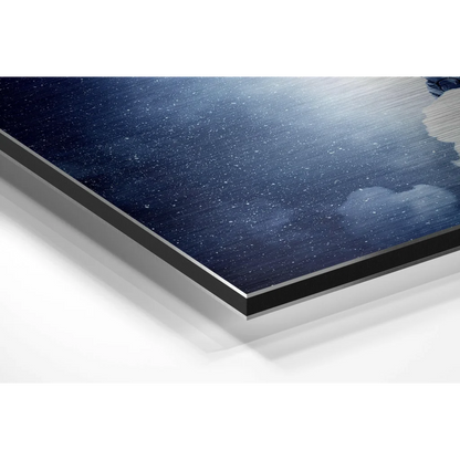 Stunning Brushed Aluminium Dibond Wall Art That Pops | Glass Wall Art Print | vintageantiquesgifts.com