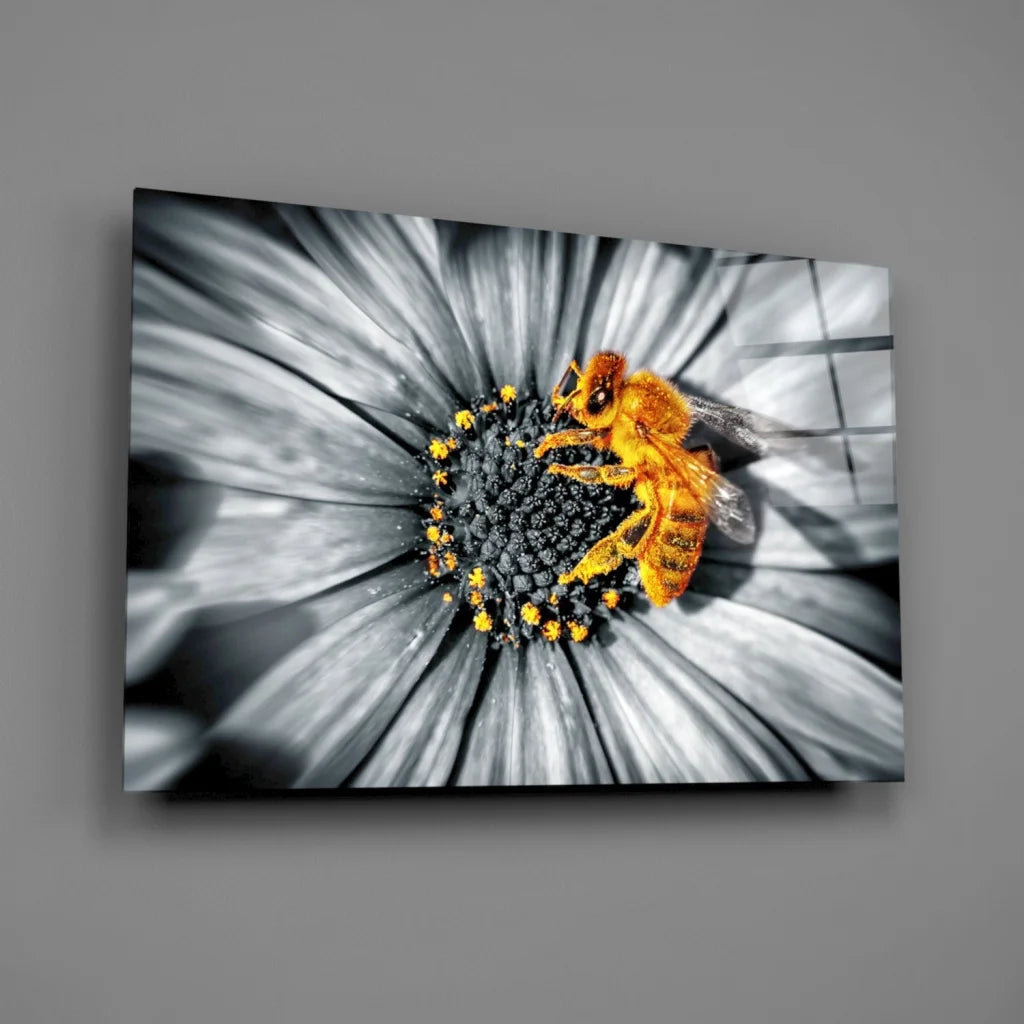 Stunning Bee on Daisy Canvas Wall Art Print | Glass Wall Art Print | vintageantiquesgifts.com
