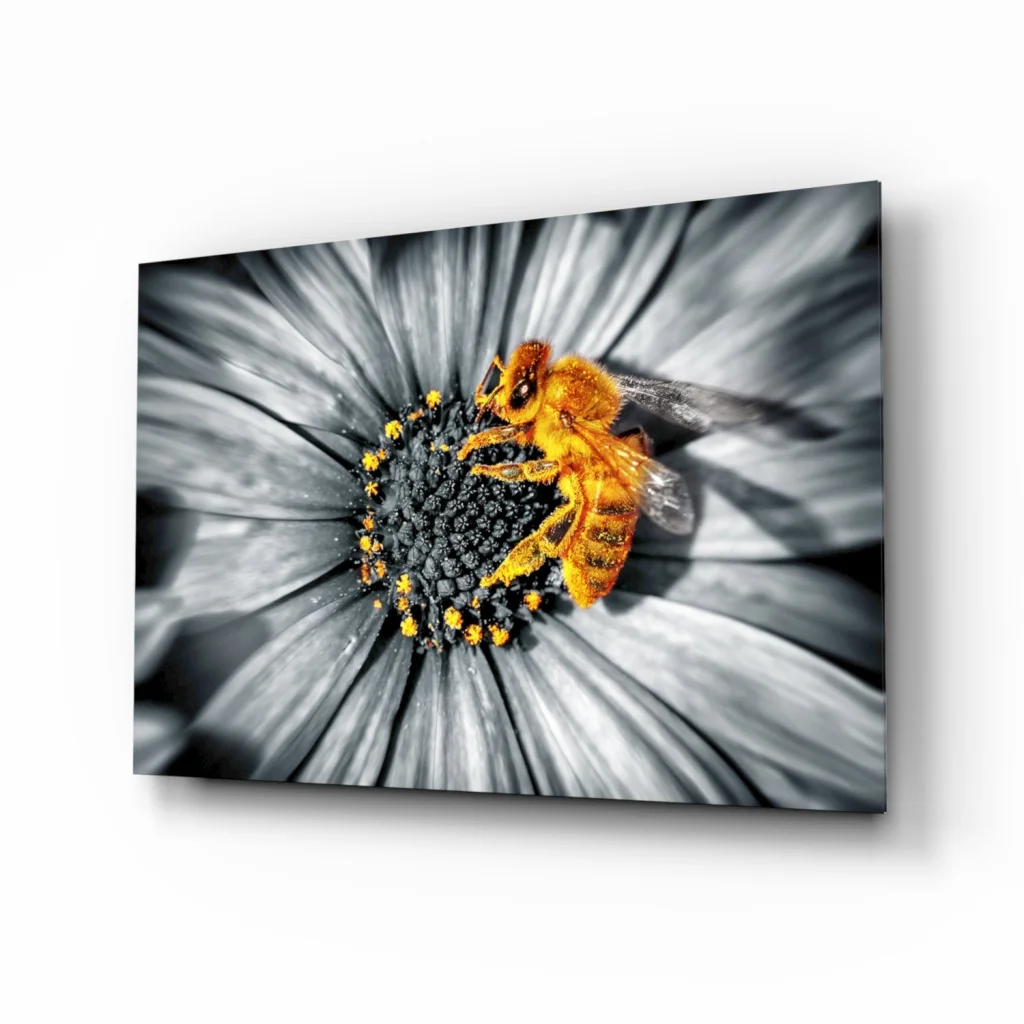 Stunning Bee on Daisy Canvas Wall Art Print | Insigneart USA | vintageantiquesgifts.com