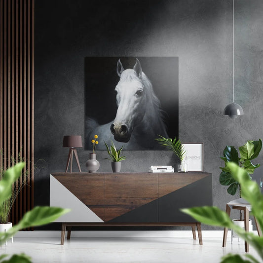 Black-and-white white horse portrait on brushed aluminium dibond