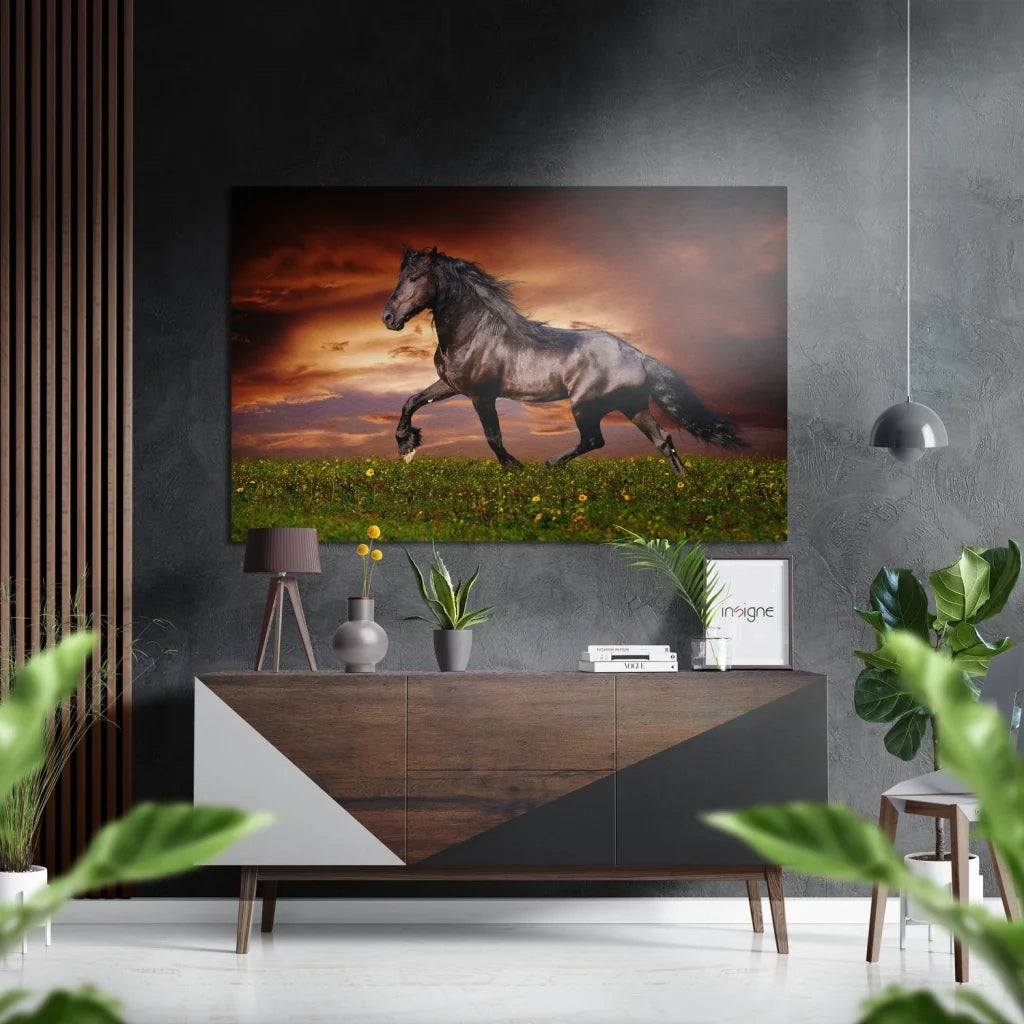 Black horse gallops through yellow flowers at sunset on brushed aluminium dibond print