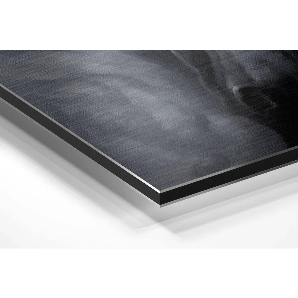 Stunning brushed aluminium dibond wall art print on black canvas