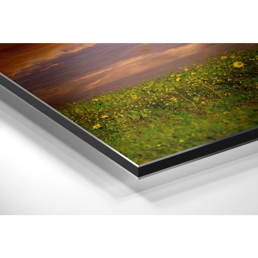 Stunning Sunflower Field on Brushed Aluminium Dibond Print | Glass Wall Art Print | vintageantiquesgifts.com