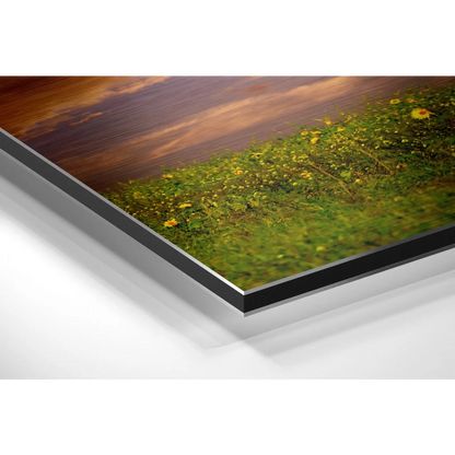 Stunning Sunflower Field on Brushed Aluminium Dibond Print | Glass Wall Art Print | vintageantiquesgifts.com