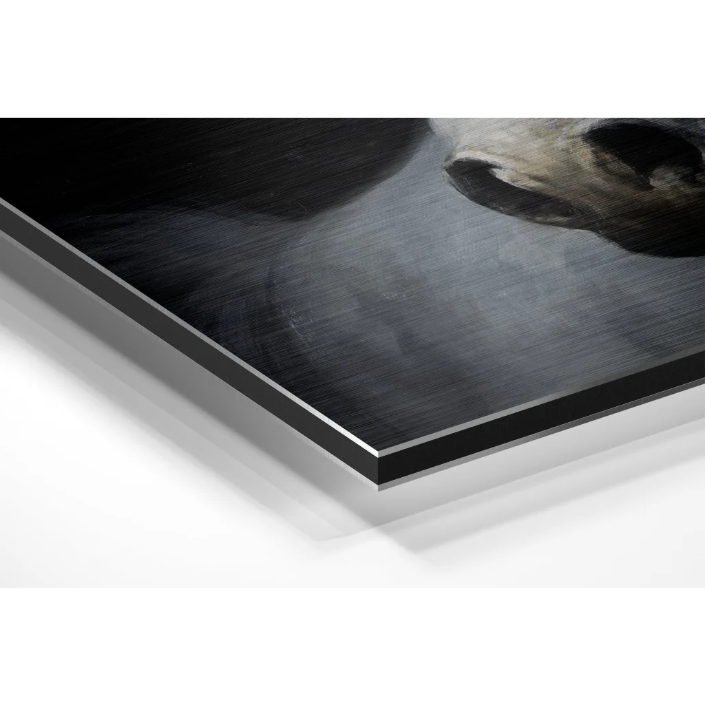 Monochrome dog muzzle close-up on black-framed brushed aluminium dibond