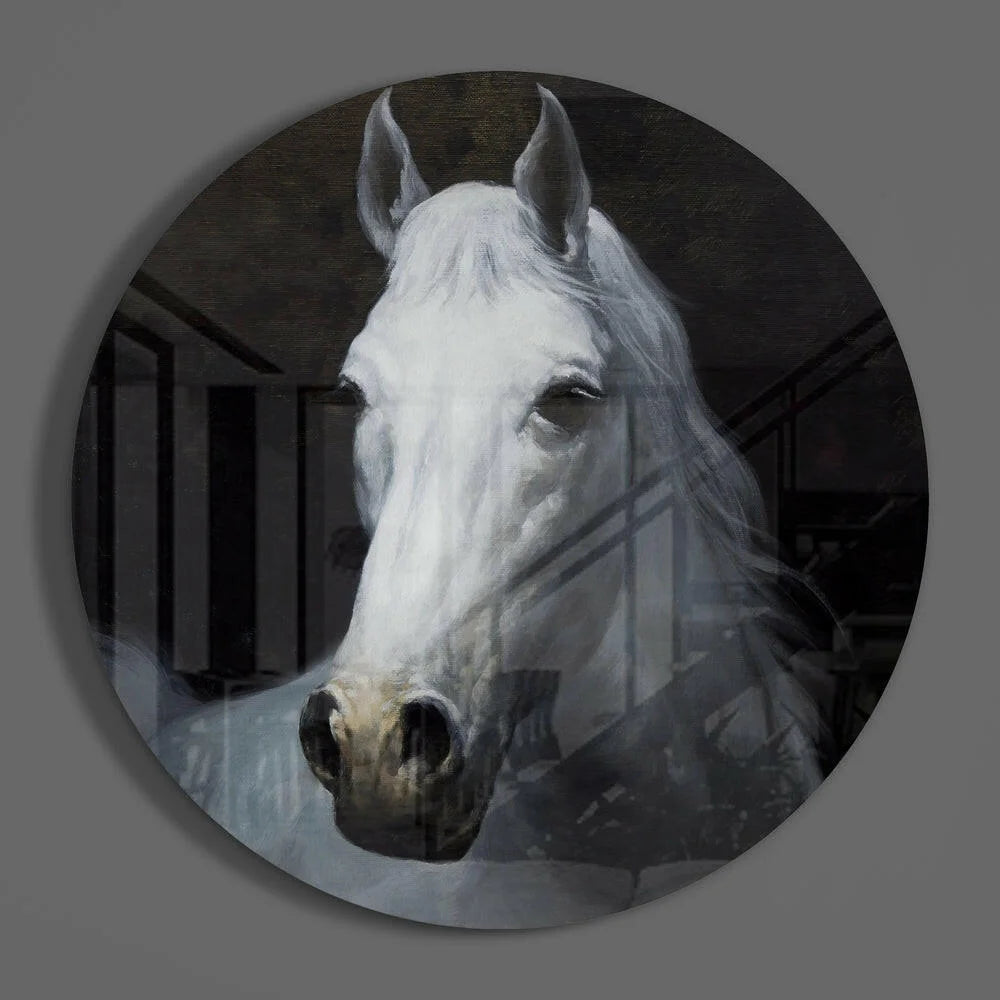 Majestic White Horse Tempered Glass Art Circle | Modern Wall Art Decor | vintageantiquesgifts.com