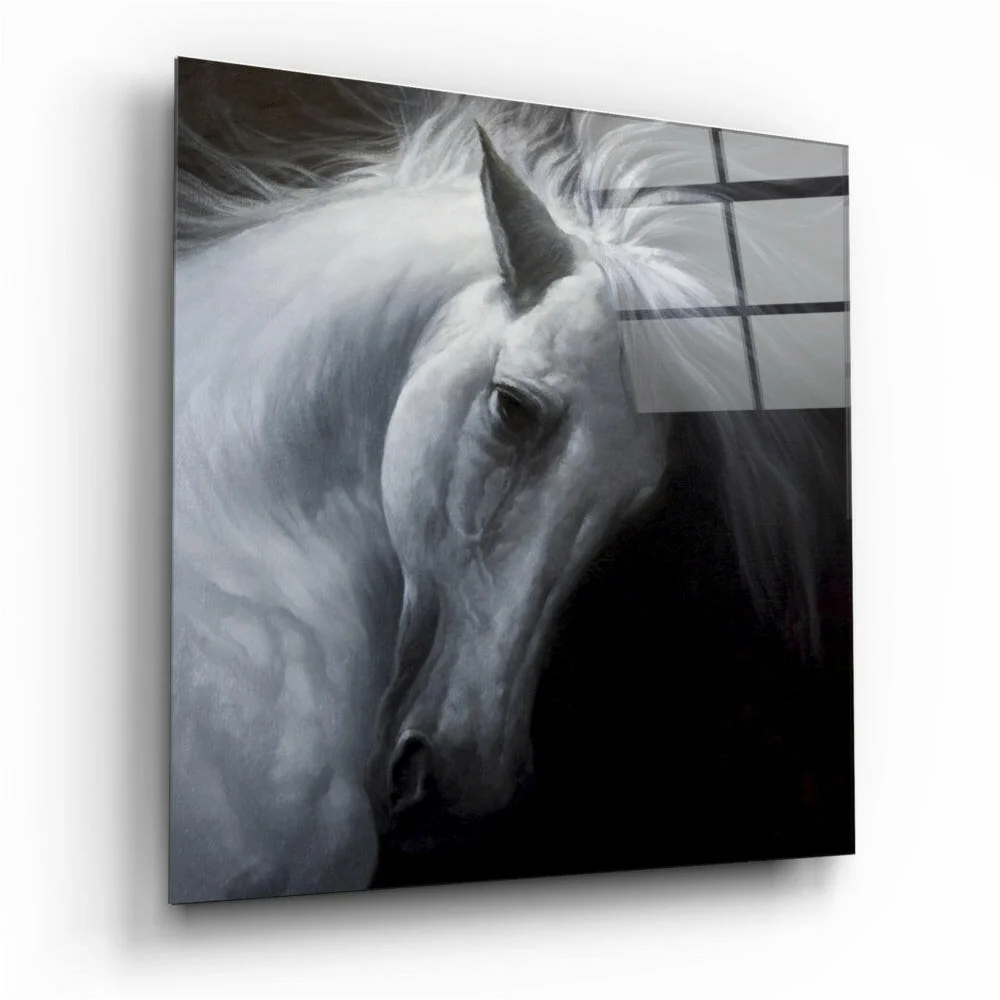 Stunning Glass Wall Art for Your Space | Insigneart USA | vintageantiquesgifts.com