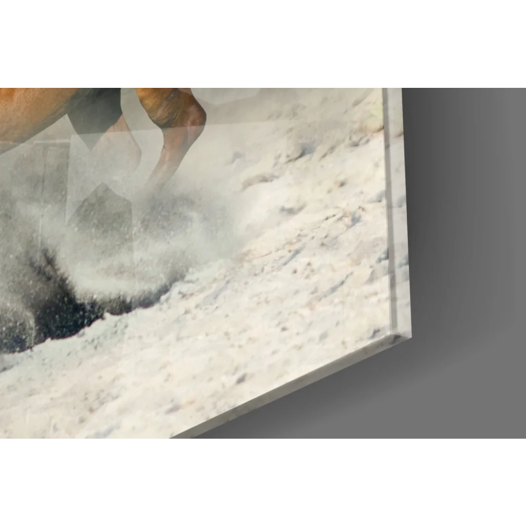 Horse kicking snow in acrylic-framed glass wall art print