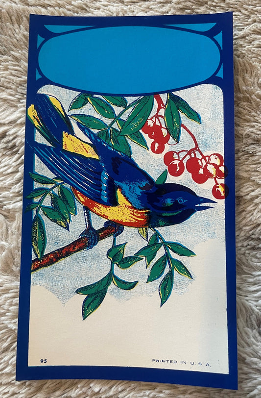 Antique Bluebird Broom Label 🐦 NOS Blank Panel Commercial Lithography Art Nouveau 1910s–40s American Made