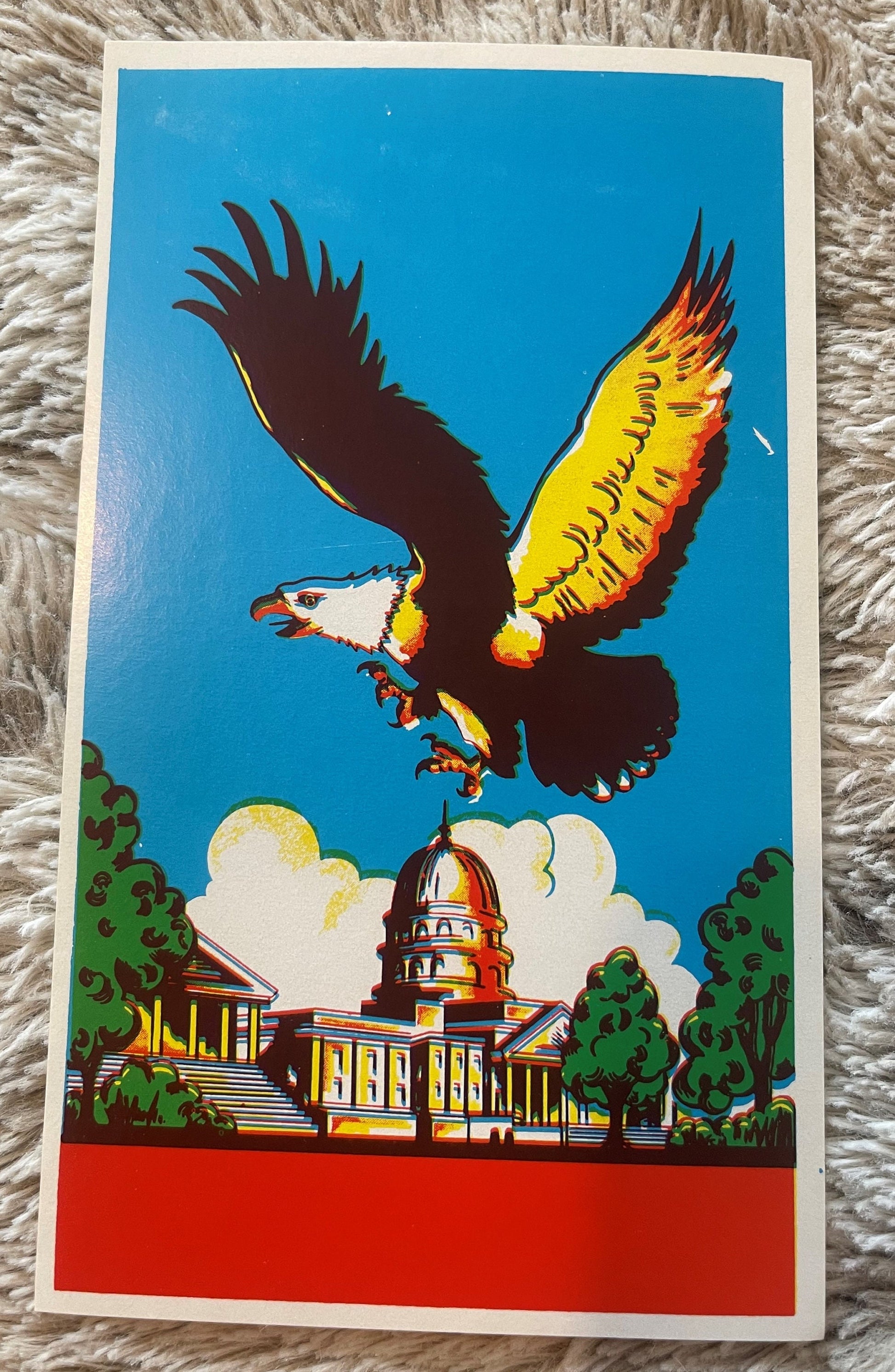 Vintage broom label featuring a bald eagle with yellow and black wings flying above a Capitol building with dome, surrounded 