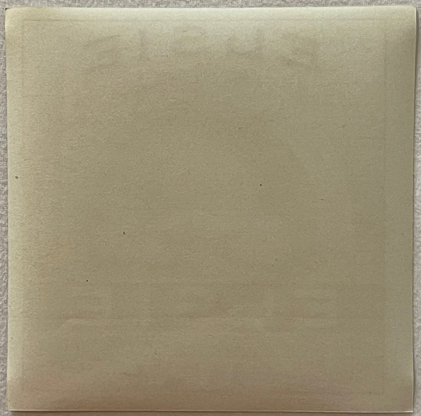 Blank cream-colored vintage cigar label with subtle texture, photographed flat against gray background