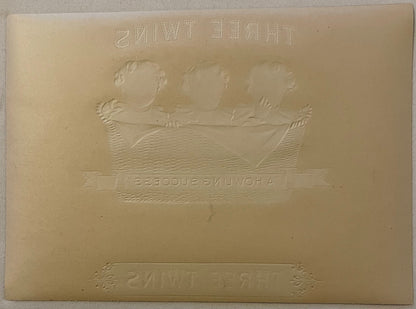 Embossed cream-colored cigar box label featuring three baby heads above a decorative banner with "Howling Success" text, show
