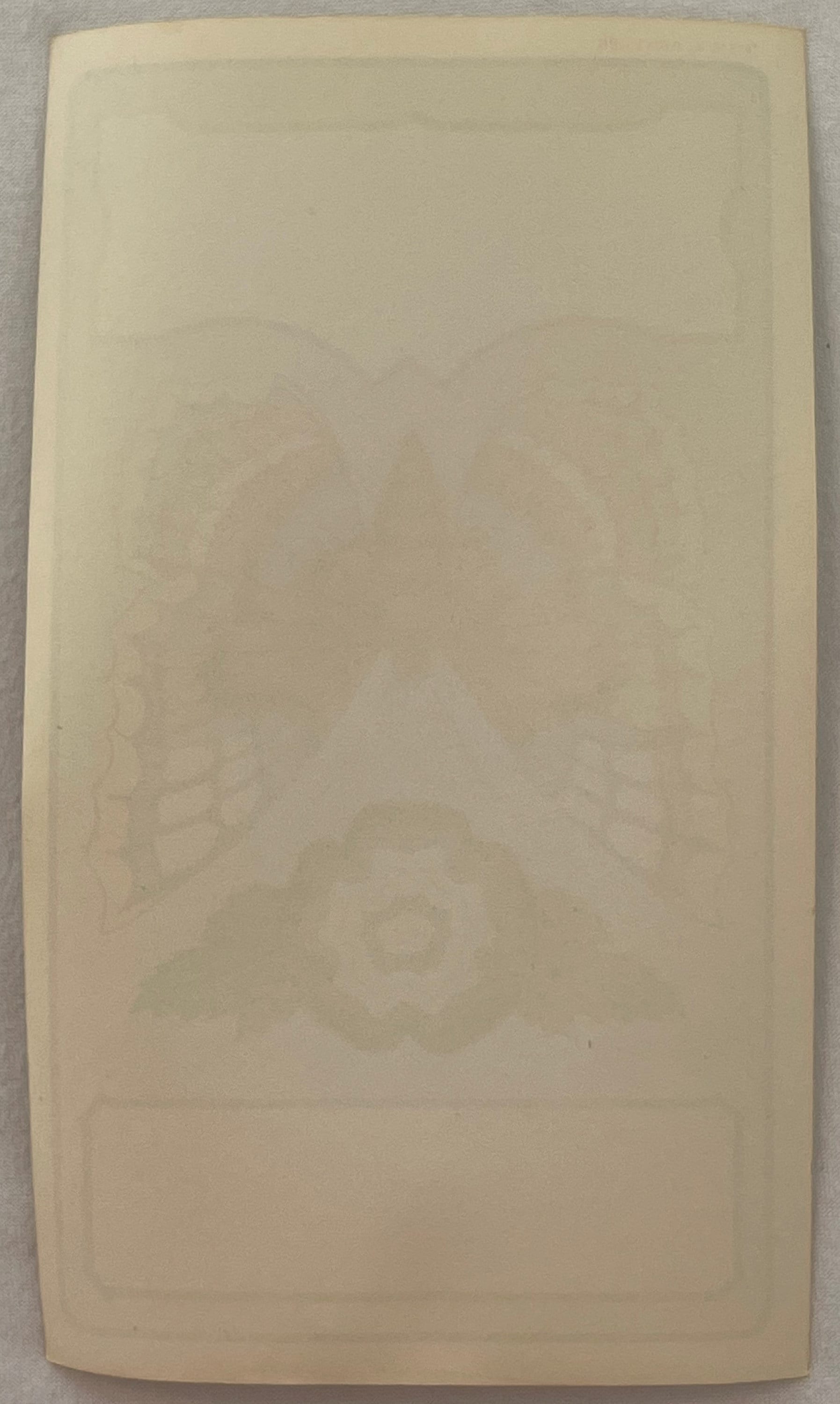 Cream-colored blank label with faint embossed butterfly and decorative border design, photographed flat against gray surface