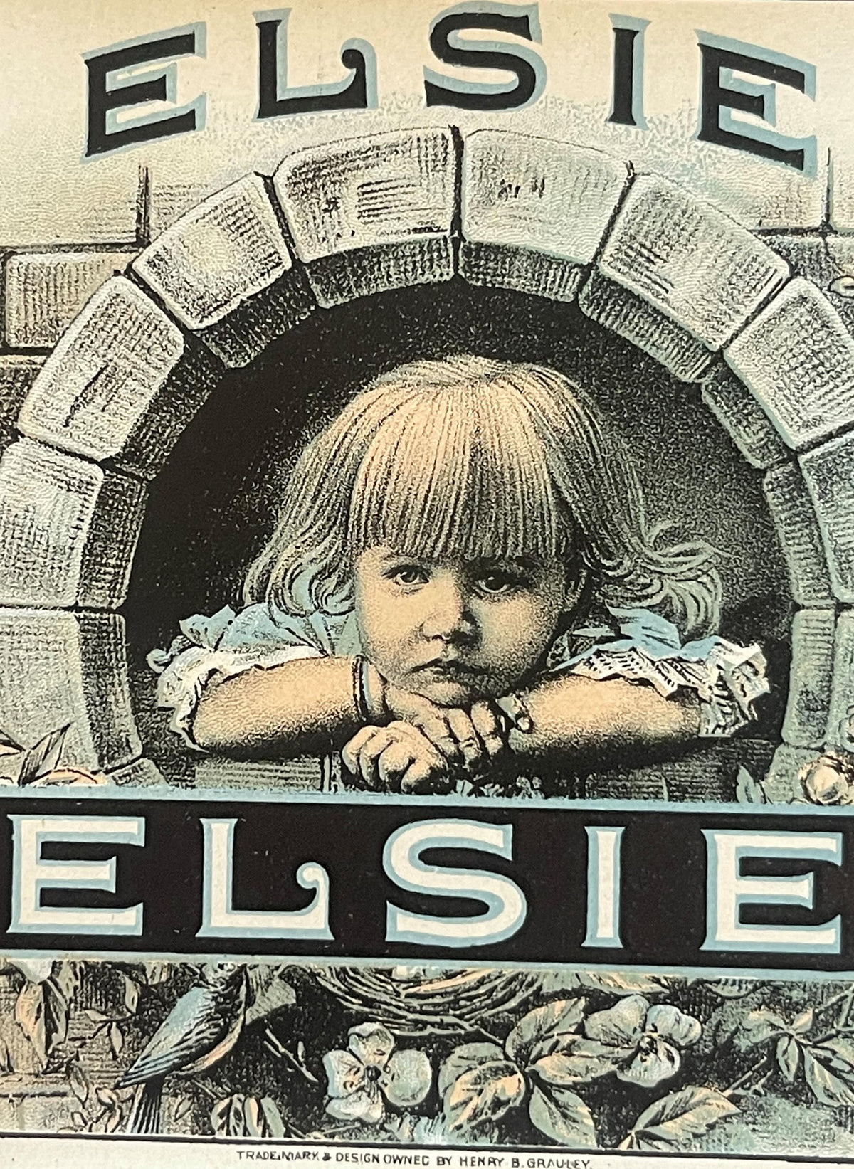 Vintage cigar label featuring a blonde child with bangs resting chin on folded arms, surrounded by open books, with "ELSIE" t