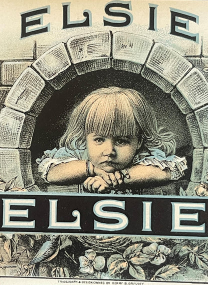 Vintage cigar label featuring a blonde child with bangs resting chin on folded arms, surrounded by open books, with "ELSIE" t