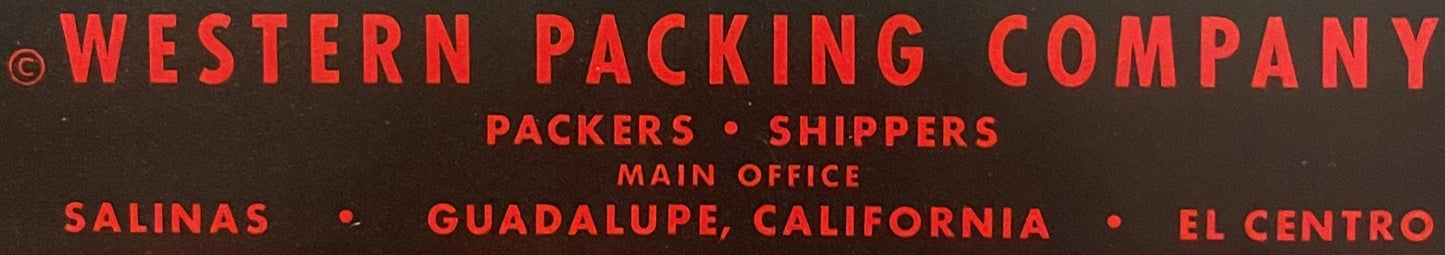Red text on dark background reading "Western Packing Company, Packers Shippers, Main Office Salinas, Guadalupe California, El