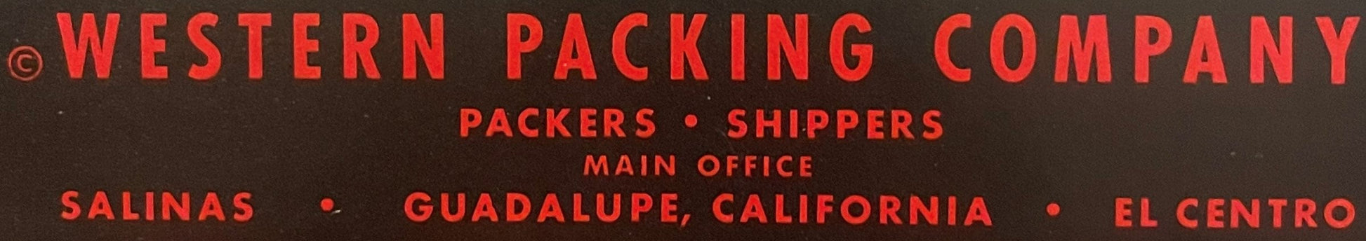 Red text on dark background reading "Western Packing Company, Packers Shippers, Main Office Salinas, Guadalupe California, El