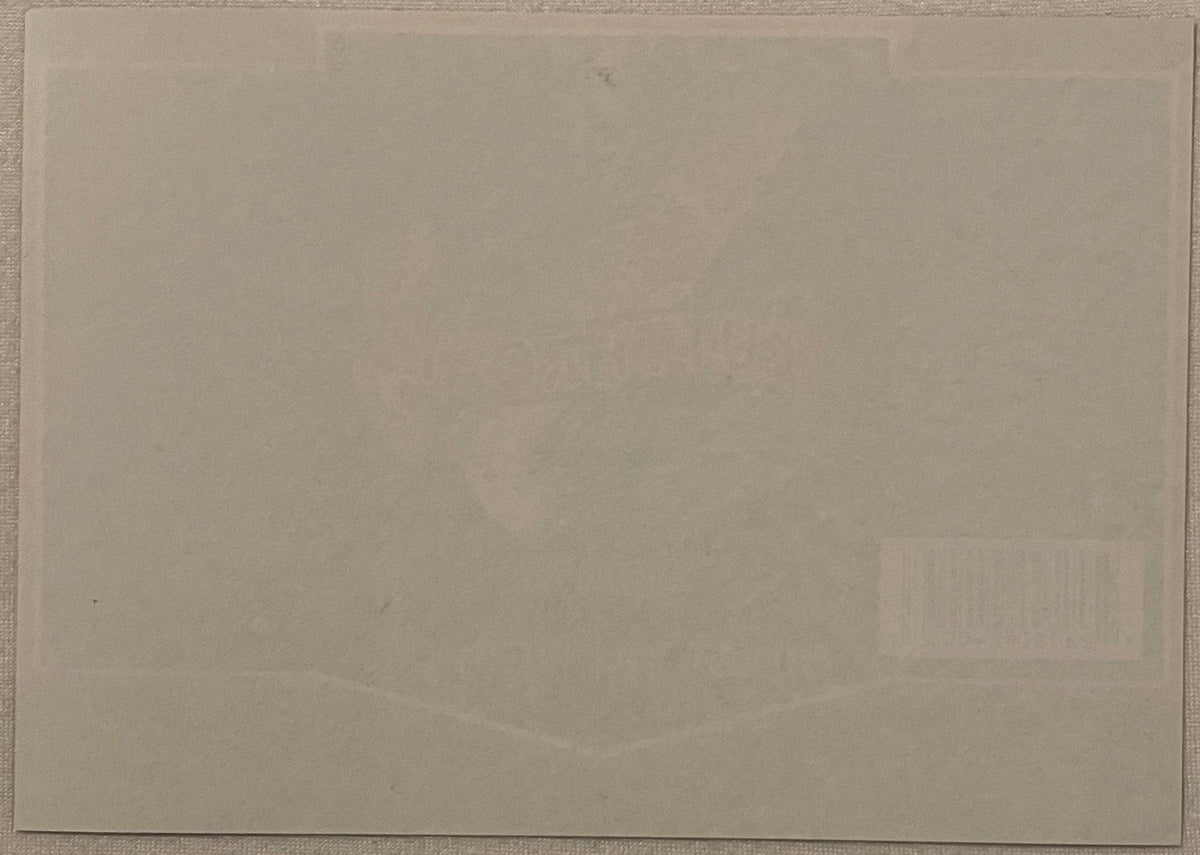 Blank cream-colored surface, appears to be back or reverse side of a beer label against neutral background