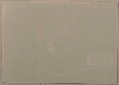 Blank cream-colored surface, appears to be back or reverse side of a beer label against neutral background