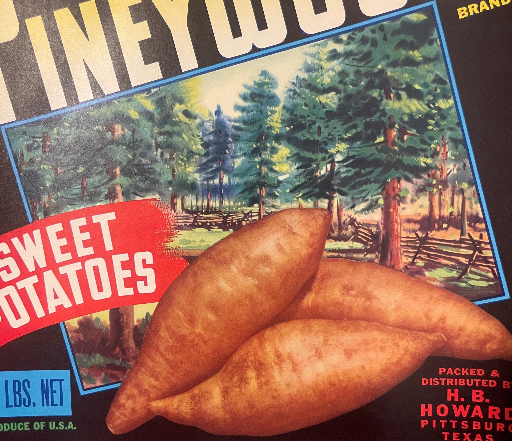 Vintage Pineywoods Brand sweet potato crate label showing three brown potatoes against forest landscape, red banner text, H.B