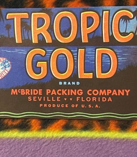 Antique citrus crate label with "Tropic Gold" in large orange letters on blue background, "McBride Packing Company Seville Florida" printed below, tropical landscape imagery with fire and water elements.
