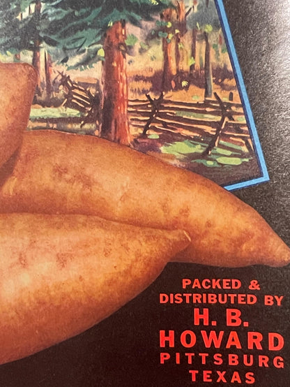 Vintage Pineywoods sweet potato crate label showing illustrated forest scene with wooden fence, held for scale against textur