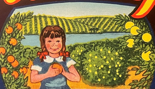 Vintage Florida Girl Citrus Crate Label 🍊 1940s Weirsdale Florida Oranges, Little Girl in the Grove Litho Art