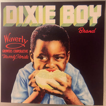 Vintage fruit crate label showing young child in blue shirt holding grapefruit, "Dixie Boy" text in yellow letters, "Waverly 