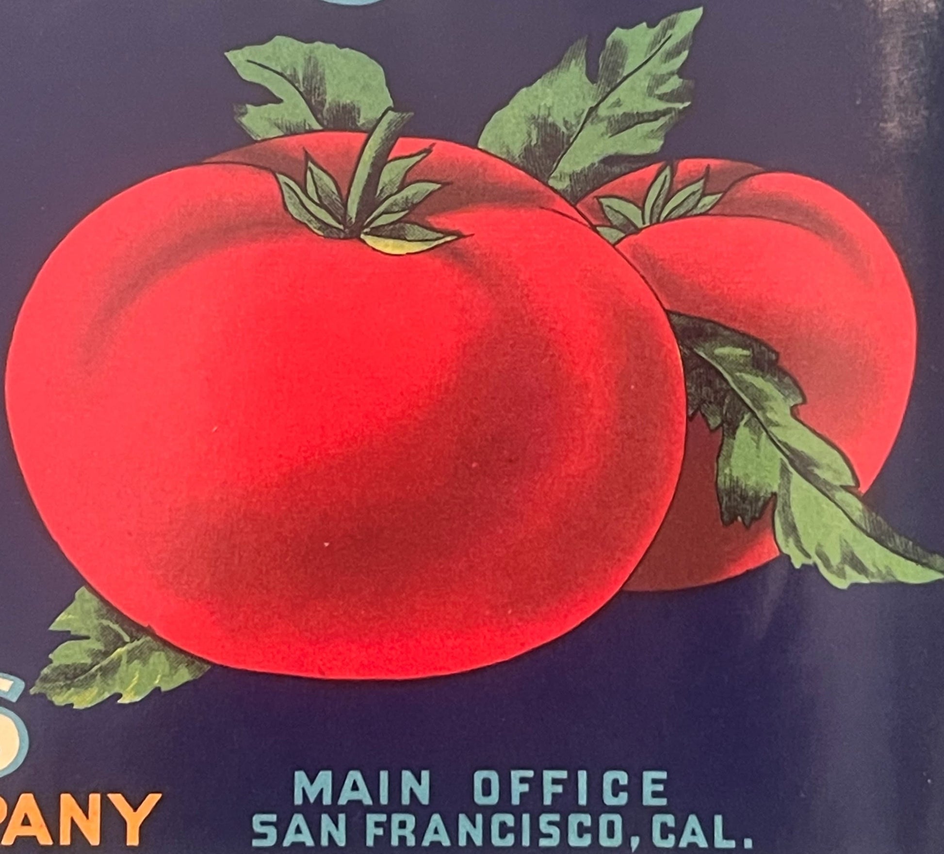 Vintage crate label showing two large red tomatoes with green stems against dark background, text reads "MAIN OFFICE SAN FRAN