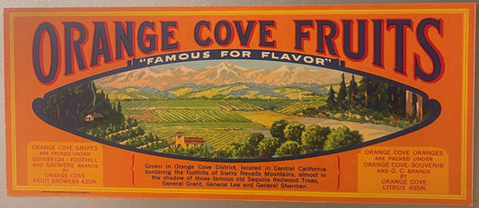 Vintage orange crate label with bold orange background, depicting a scenic California valley with mountains, featuring "Orang