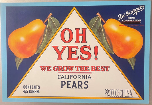 Vintage 1960s Oh Yes Brand California Pears Crate Label 🍐 — Di Giorgio Fruit Corporation, Marysville CA — Printed ZIP 95901