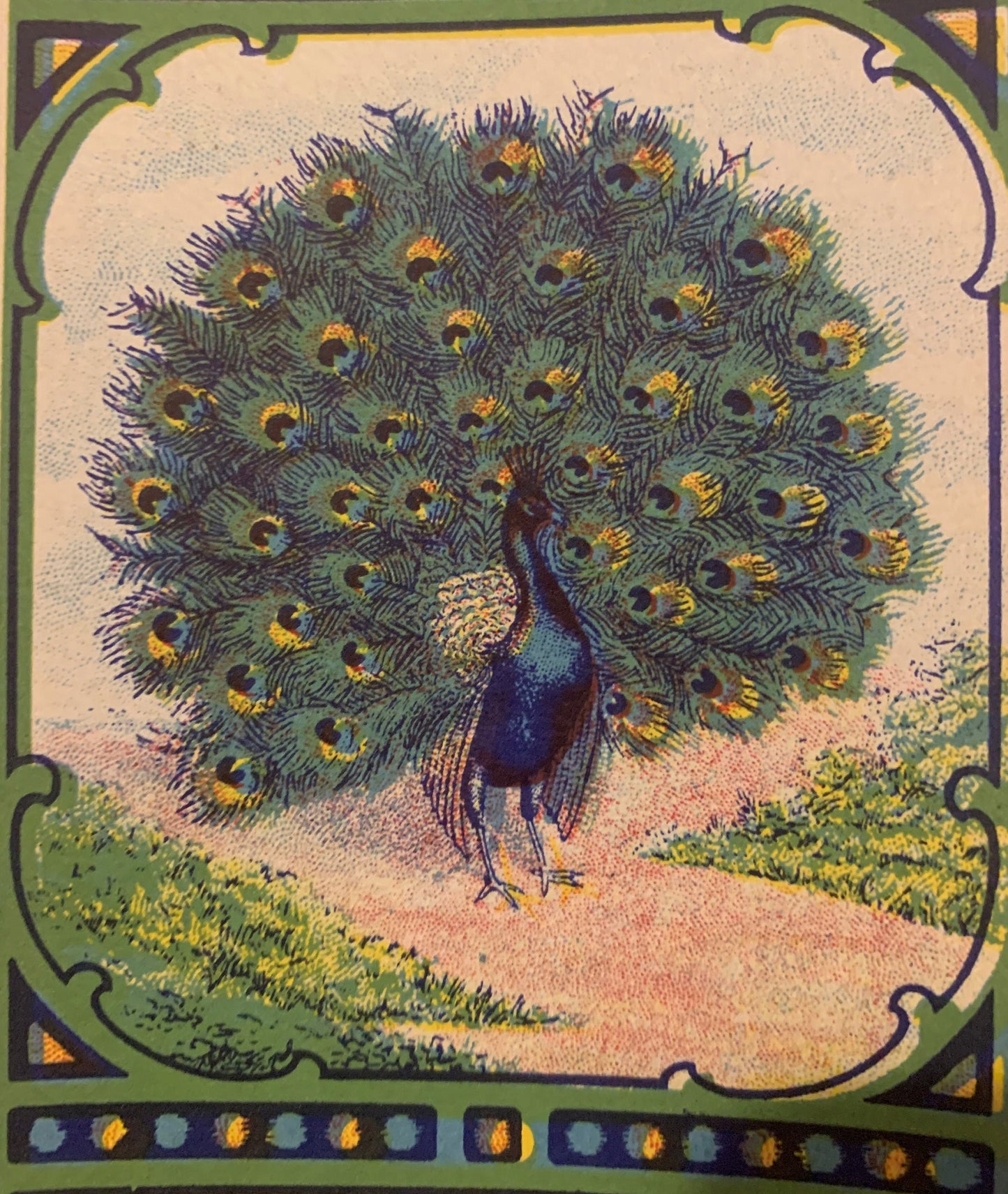 Vintage chromolithograph label featuring a peacock with iridescent blue body and green tail feathers decorated with gold and 