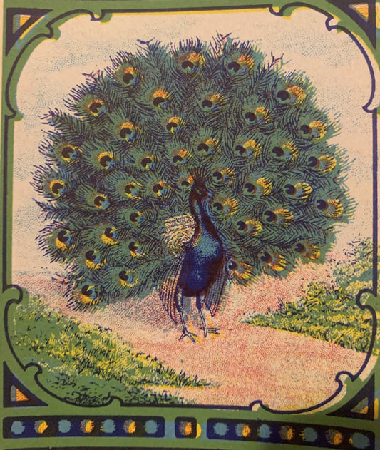 Antique Peacock Broom Label 1910s-1920s Art Nouveau Chromolithograph Litho USA Vintage Advertising Ephemera 🧹