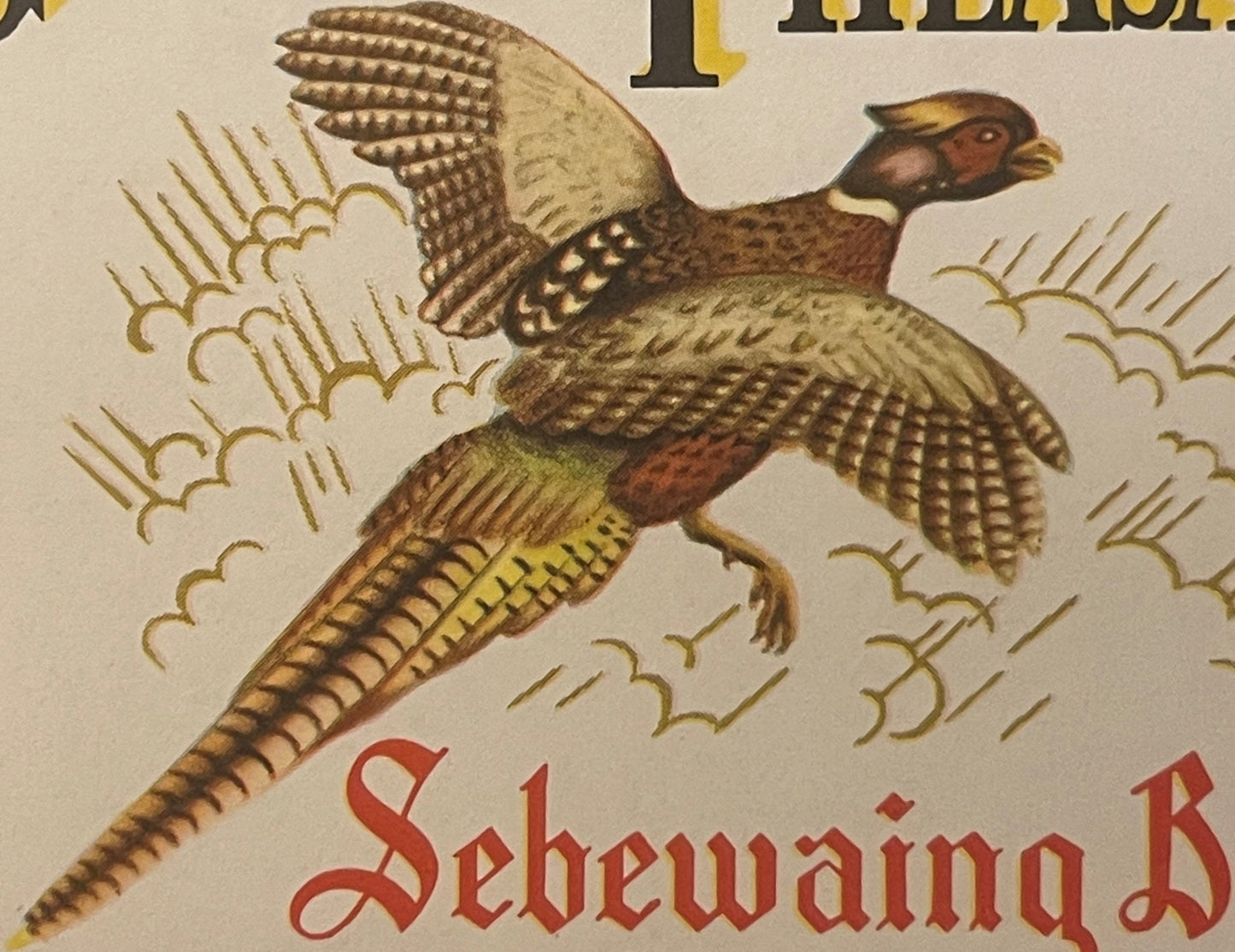 Colorful vintage beer label featuring a brown pheasant with spread wings in flight, ornate decorative elements, and red Gothi