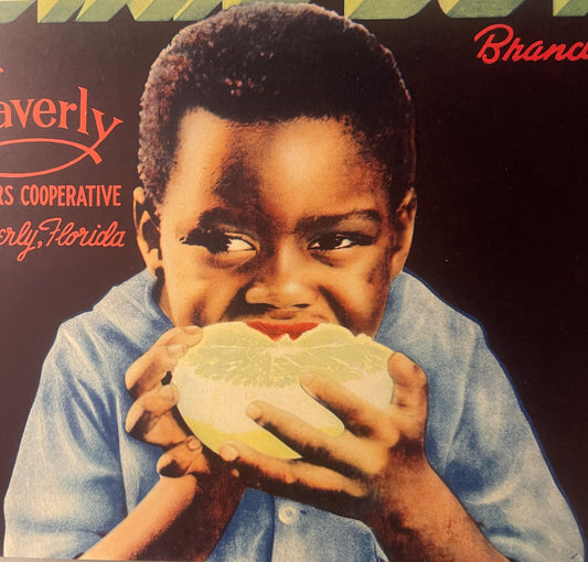 Antique Vintage 1930s Dixie Boy Crate Label 🍎 Waverly, FL, Adorable Child!