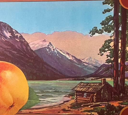 Vintage 1940s Lake Wenatchee Crate Label Captures Scenic Beauty