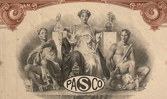 Vintage 1960s Pan American Sulphur Co. Stock Certificate ⛏️ Brown, Delaware PASCO Mexico Mining Share