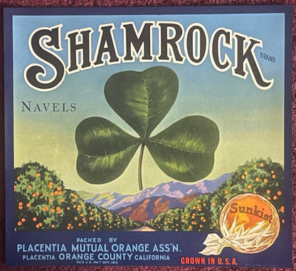 Vintage Shamrock Brand Navel Orange crate label featuring a three-leaf clover and orange grove landscape, printed by Placenti