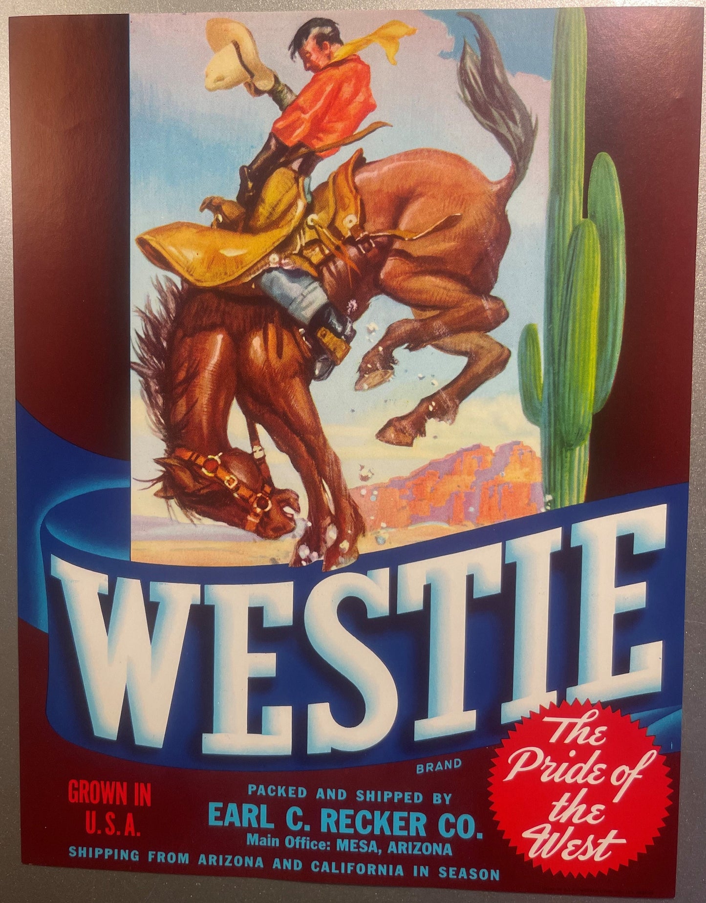 Vintage fruit crate label featuring a cowboy on a bucking brown horse with saguaro cactus, "Westie Brand" text, Mesa Arizona 