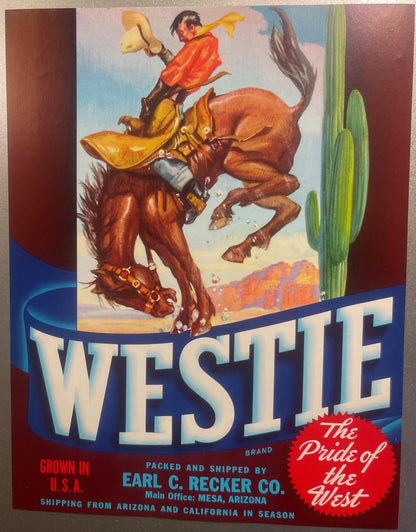 Vintage fruit crate label featuring a cowboy on a bucking brown horse with saguaro cactus, "Westie Brand" text, Mesa Arizona 