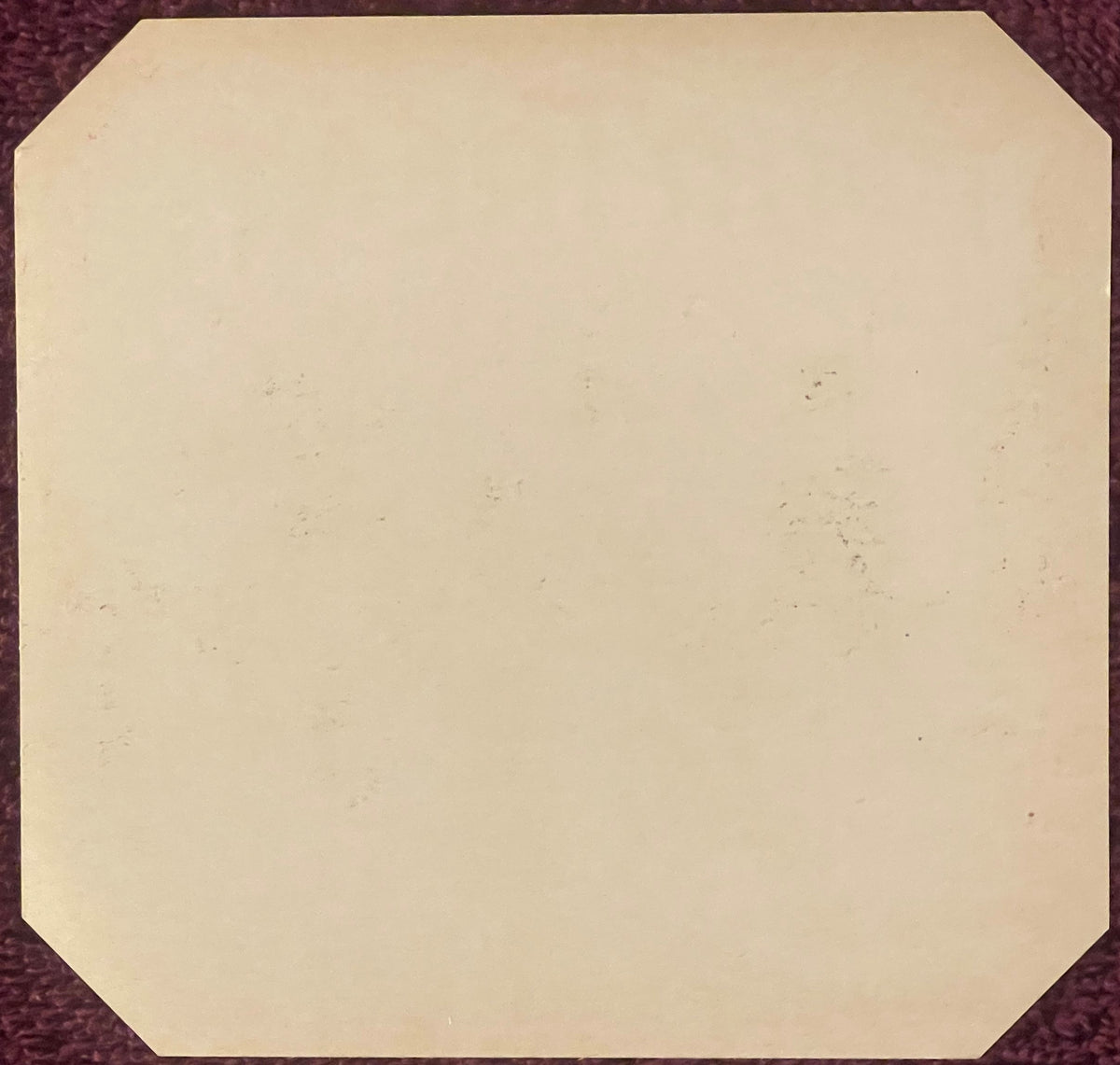 Blank cream-colored vintage cigar label with rounded corners on burgundy fabric background, showing age spots and patina