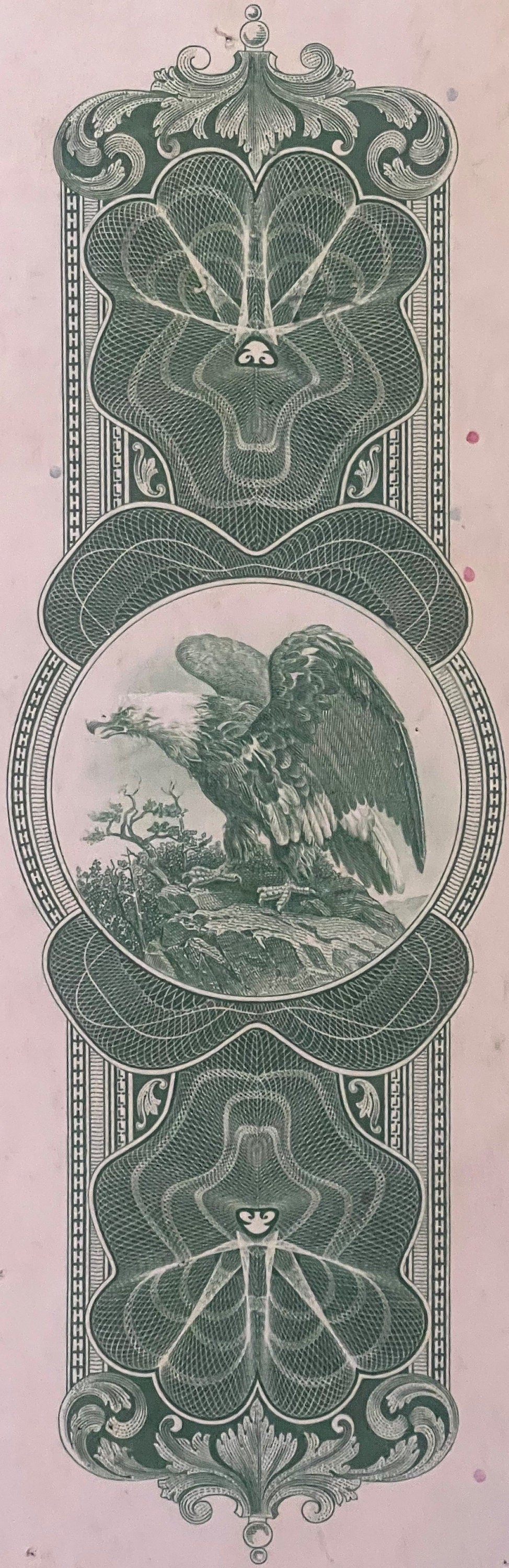 Ornate vertical engraving with eagle holding branch in center oval, flanked by floral and geometric designs in green ink on p